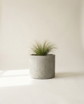 Foundry Round cast concrete planter in raw concrete with ornamental grass on warm white studio backdrop