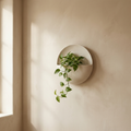 Halden Wall Disc ceramic wall planter in matte bone with trailing pothos on limewashed plaster wall