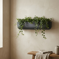 Linnea Wall Trough charcoal fiberglass wall-mounted planter with trailing ivy
