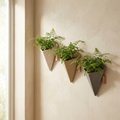 Cusp Wall Pocket Set of three ceramic wall planters in bone sand and stone grey with ferns