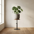 Halsey Adjustable Stand blackened steel and oak plant stand with stone grey planter and monstera