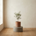 Piedmont Concrete Plinth cast concrete pedestal with terracotta pot and olive sapling