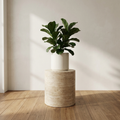 Ellery Travertine Pedestal solid stone plant pedestal with bone ceramic planter and fiddle leaf fig