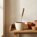 Meridian Moisture Wand walnut and brass soil moisture meter in cream ceramic planter