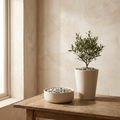 Granite Top Dressing crushed grey stone planter topper beside cream ceramic planter