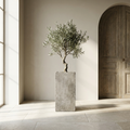 Monolith Square Tower tall cast concrete planter with olive tree beside doorway on limestone terrace