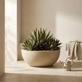 Vault Low Bowl wide cast concrete bowl planter with agave on limestone terrace