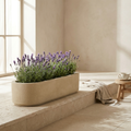 Umbra Oval Trough long cast concrete trough planter with lavender on limestone patio