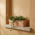 Ravello Window Box terracotta window box planter with trailing geraniums on limestone sill