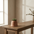 Cortona Bell Pot small bell-shaped terracotta pot with succulent on oak console