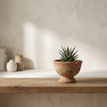 Pienza Footed Bowl small footed terracotta bowl planter with haworthia on oak shelf