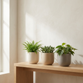 Gradient Trio three ceramic planters in bone sand and stone grey gradient on oak console