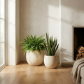 Hearth Duo pair of cream stoneware planters with fern and snake plant beside fireplace