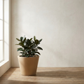 CONCEPT IMAGERY — Vireo Tapered Round planter concept, tapered round fiberglass planter in sand