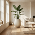 CONCEPT IMAGERY — Halcyon Wide Egg planter concept, oversized egg fiberglass planter in bone