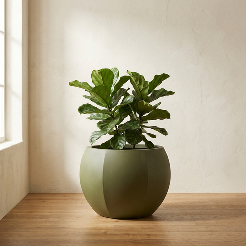 CONCEPT IMAGERY — Ansel Faceted Round planter concept, faceted fiberglass planter in olive