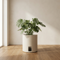 CONCEPT IMAGERY — Cove Self-Watering Cylinder planter concept, bone fiberglass cylinder with reservoir gauge