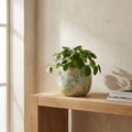 CONCEPT IMAGERY — Ondine Reactive-Glaze Round planter concept, sage and cream reactive glaze ceramic