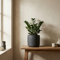 CONCEPT IMAGERY — Noor Carved Vessel planter concept, carved charcoal stoneware vessel