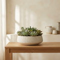 CONCEPT IMAGERY — Ceres Fluted Bowl concept, fluted bone ceramic bowl planter