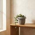 CONCEPT IMAGERY — Anza Double-Walled Pot concept, stone grey double-walled ceramic pot