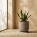 CONCEPT IMAGERY — Gable Ribbed Cylinder concept, ribbed cast concrete cylinder in natural grey