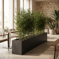 CONCEPT IMAGERY — Boundary Divider Trough concept, tall charcoal fiberglass privacy trough with bamboo