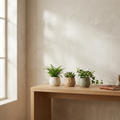 CONCEPT IMAGERY — Kin Trio concept, three organic hand-formed ceramic planters in bone sand and sage