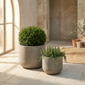 CONCEPT IMAGERY — Courtyard Pair concept, two cast concrete round planters at two sizes