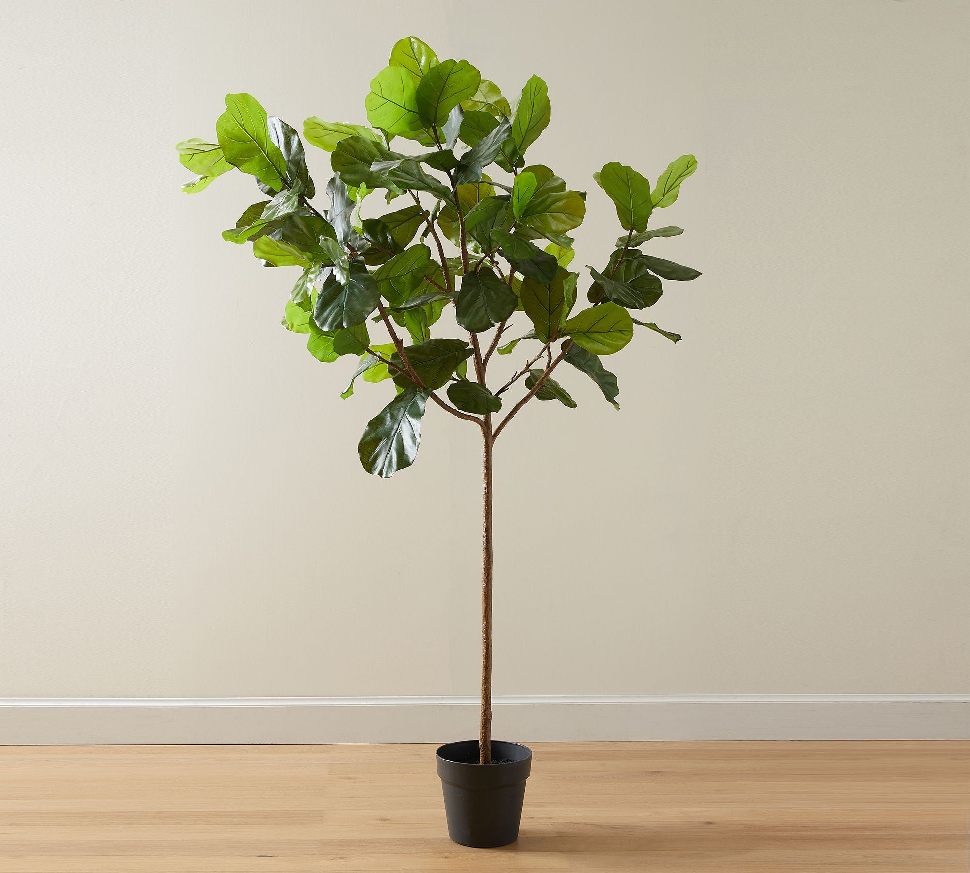 Faux Potted Fiddle Leaf Fig Tree, Large, 8'