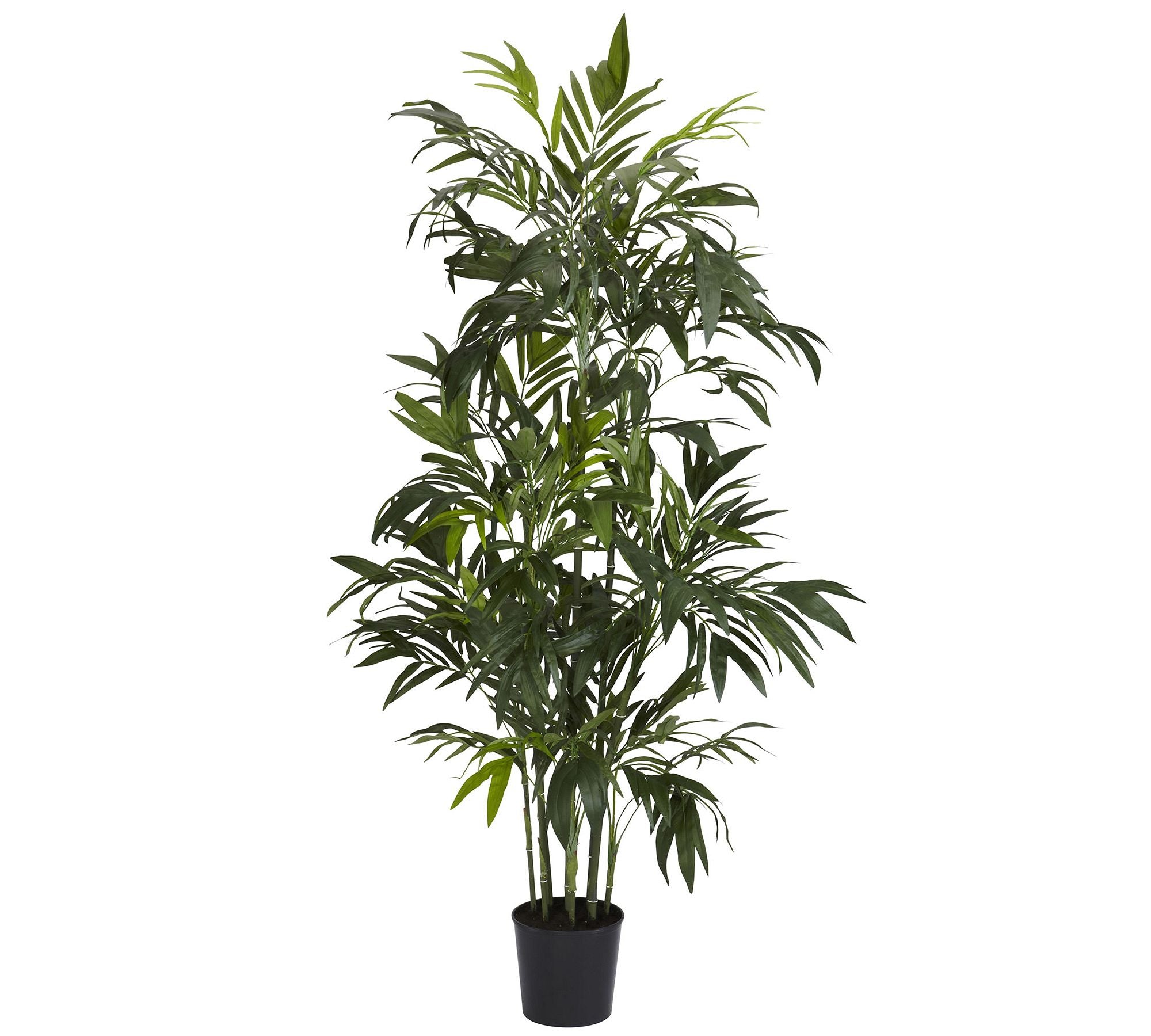Faux Bamboo Palm Tree, 6'