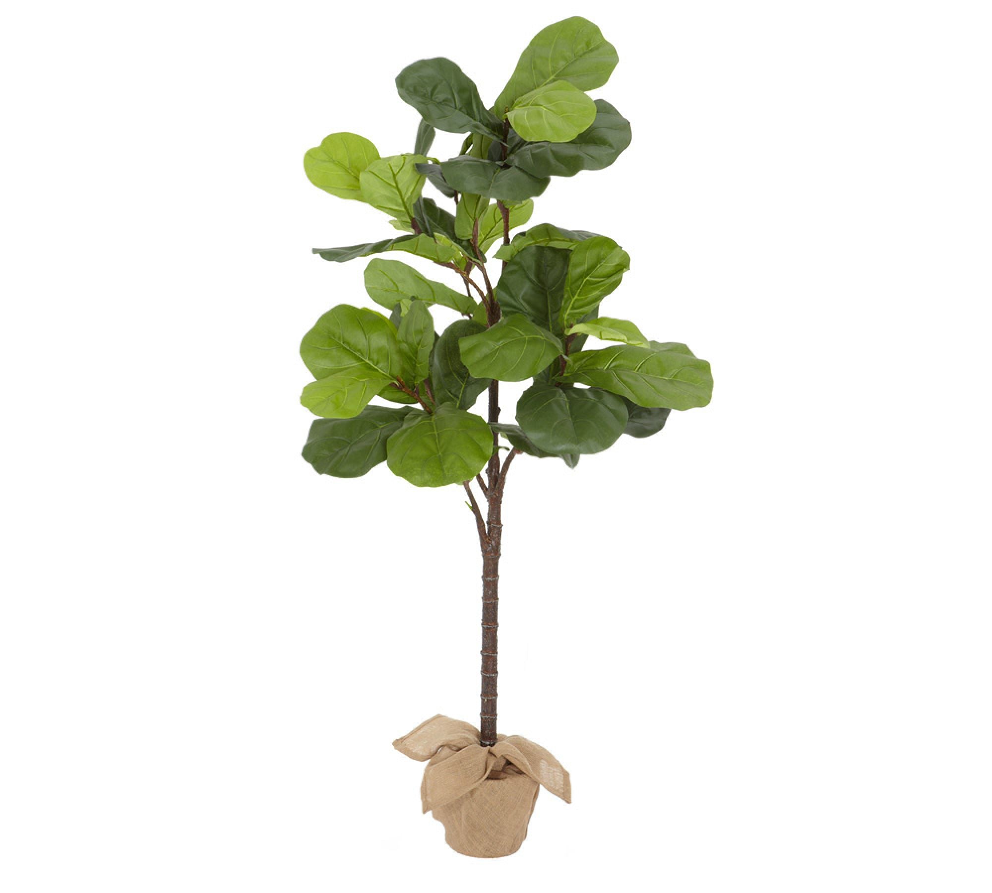 Faux Potted Fiddle Leaf Fig Tree, Medium, 7'