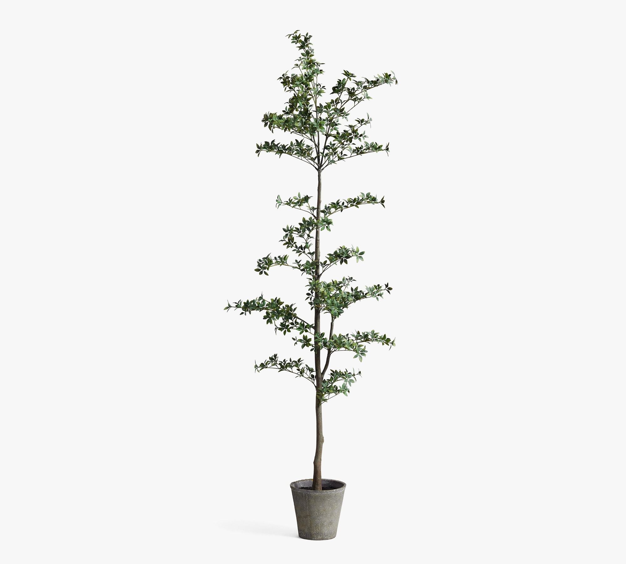 Faux Black Olive Tree, Mini Leaf, Green