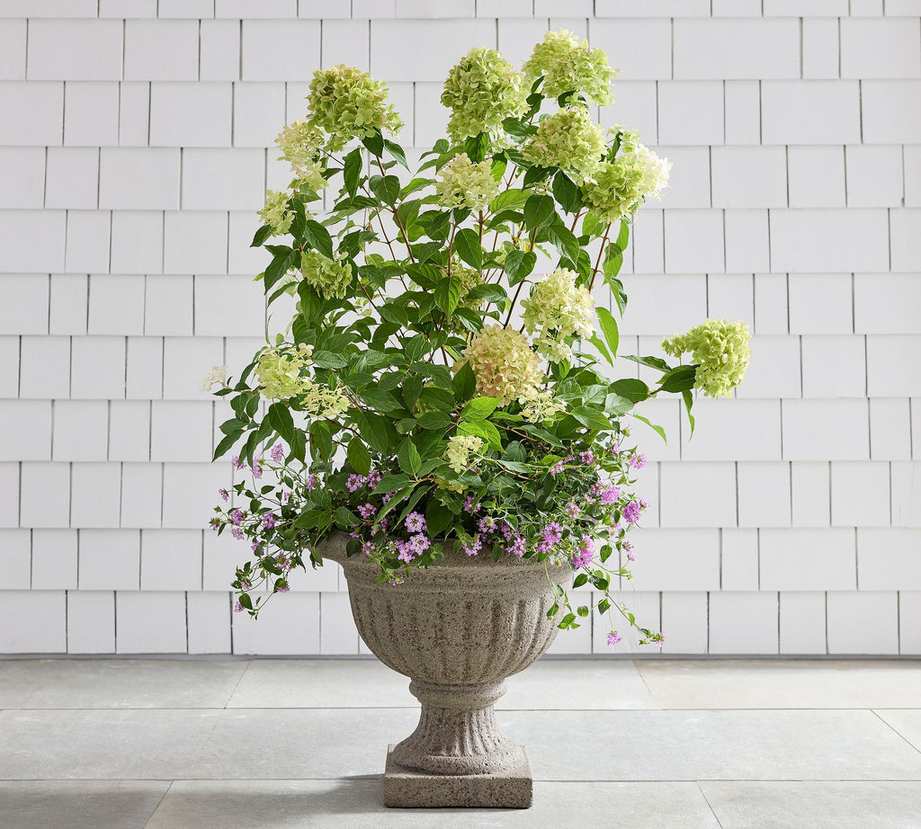 Love Shack Fancy Short Wide Urn 20X17.5