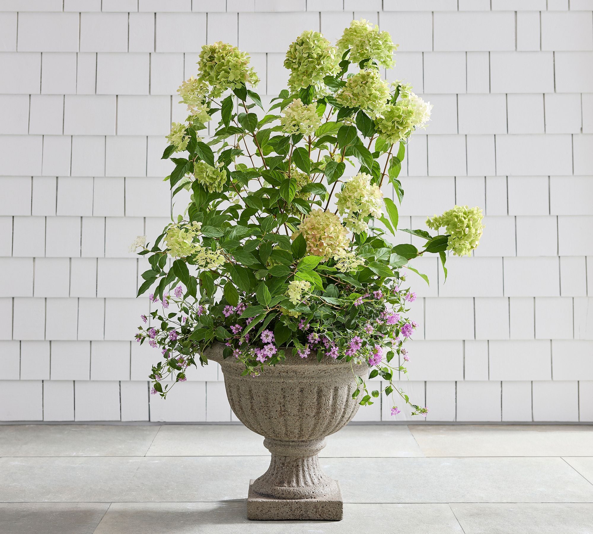 Love Shack Fancy Short Wide Urn 20X17.5