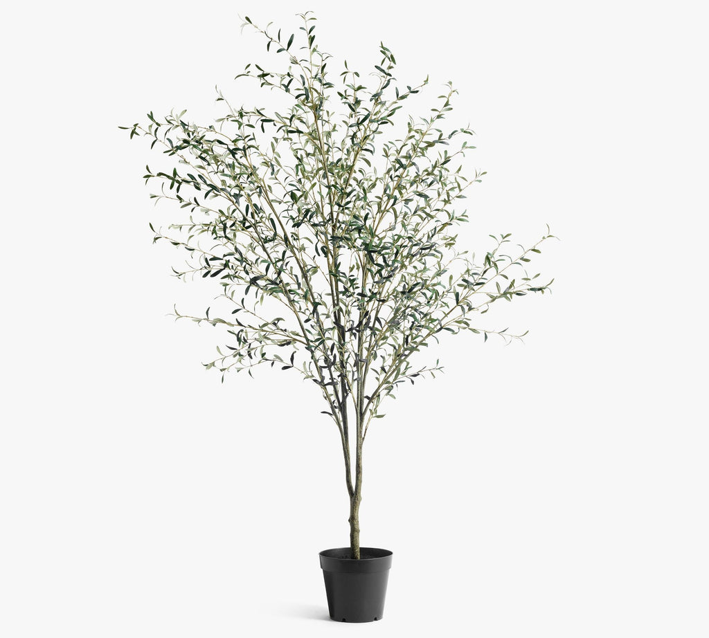 Faux Potted Olive Tree, 9', Green