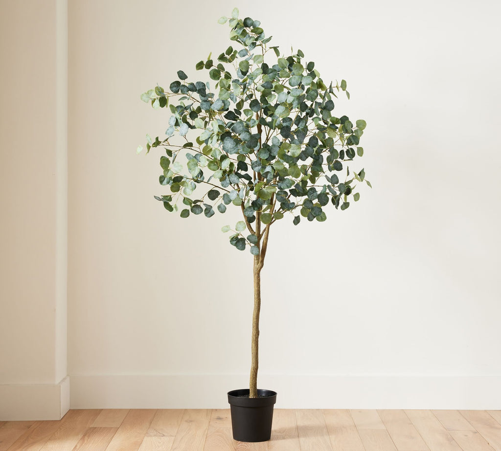Faux Silver Dollar Eucalyptus Tree, 7'