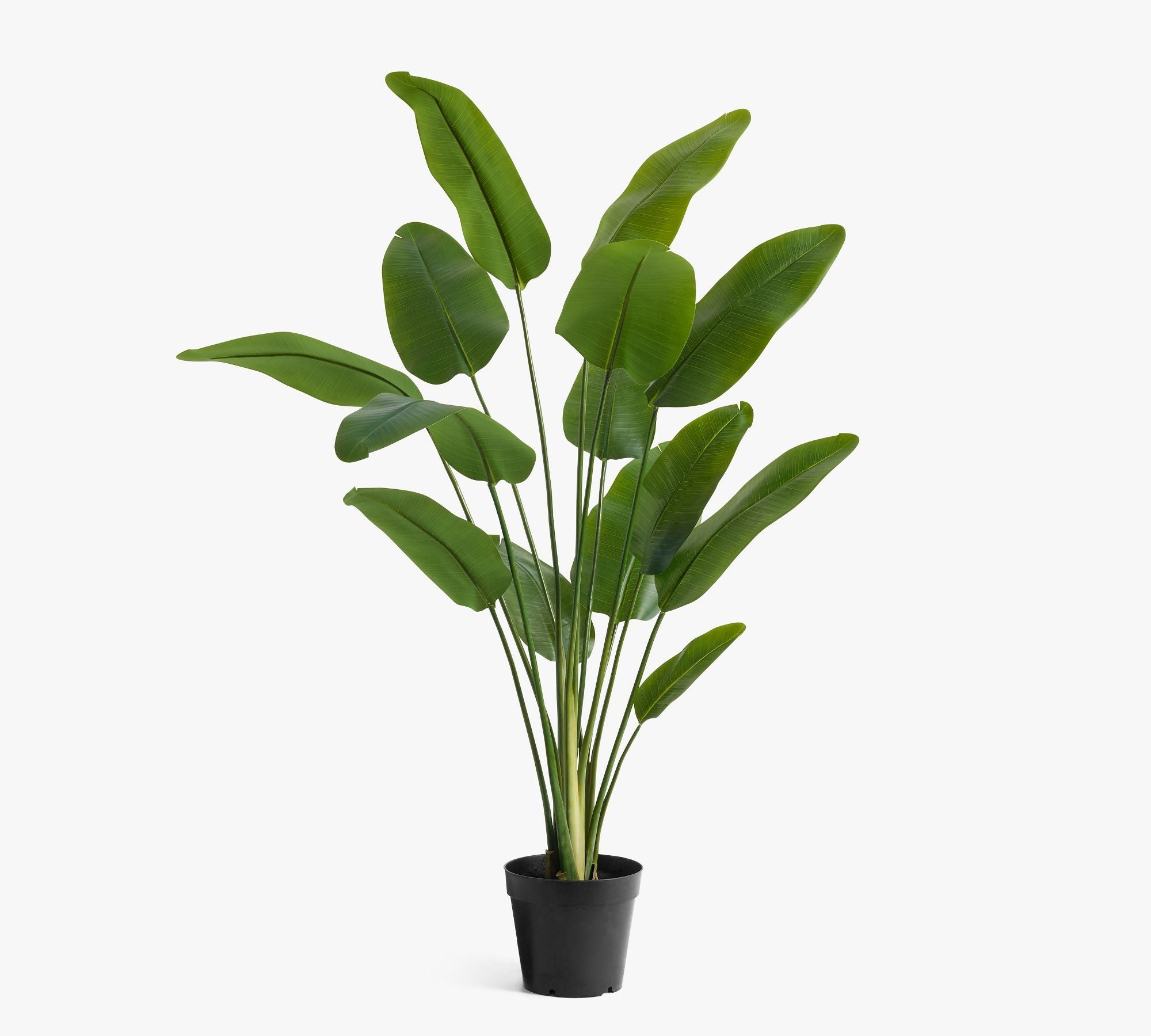 Faux Potted Banana Palm Tree, Green