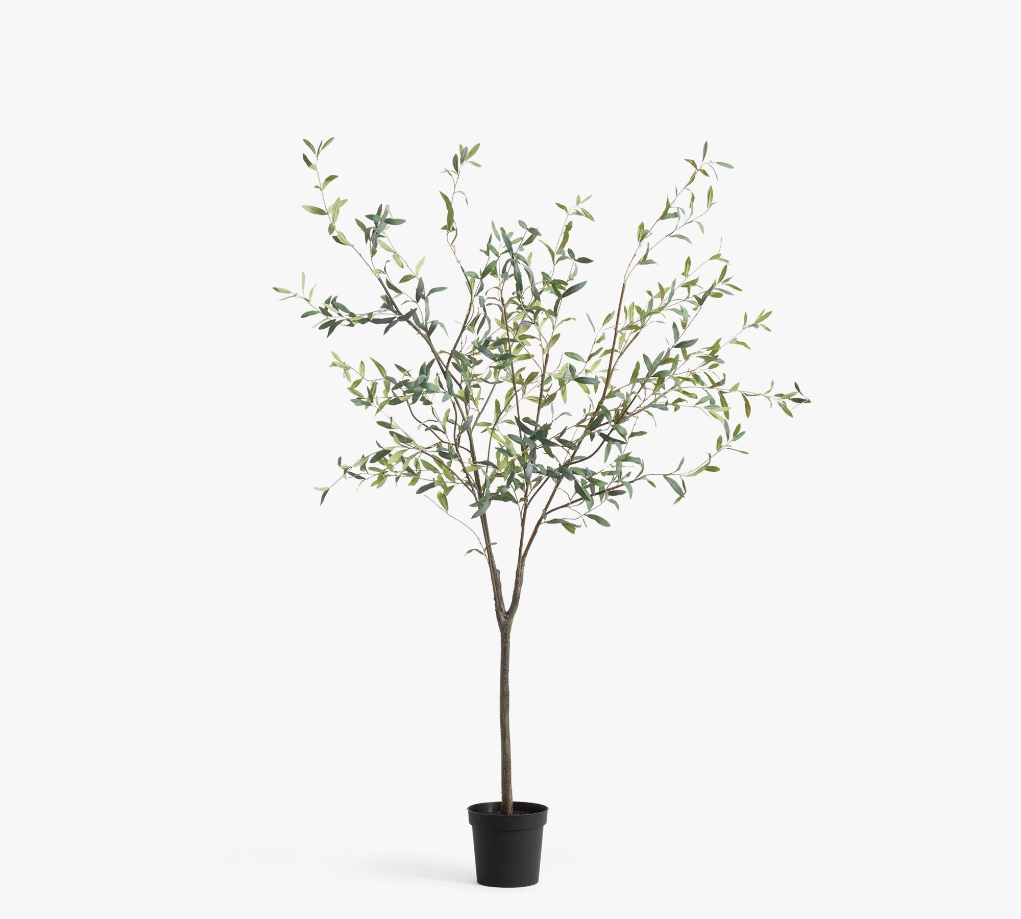 Faux Potted Olive Tree, 7', Green