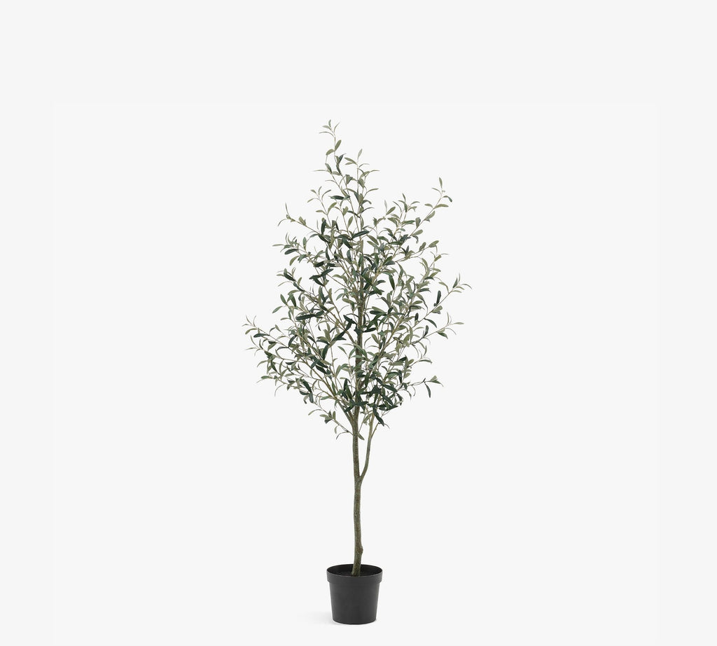 Faux Potted Olive Tree, 6', Green
