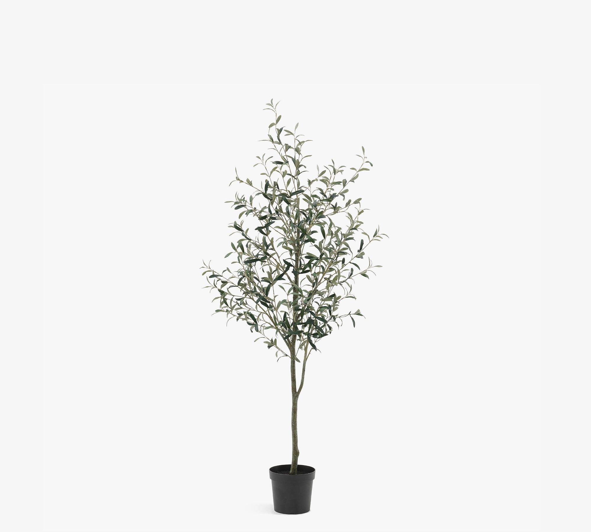 Faux Potted Olive Tree, 6', Green