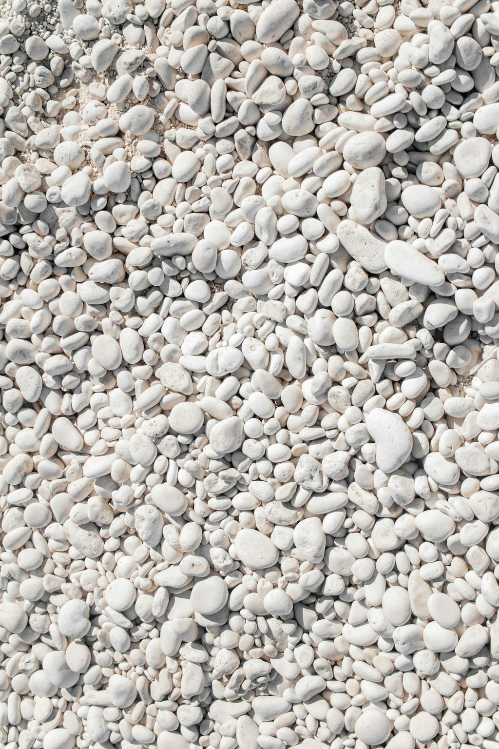 Polished white pebbles close-up on neutral background