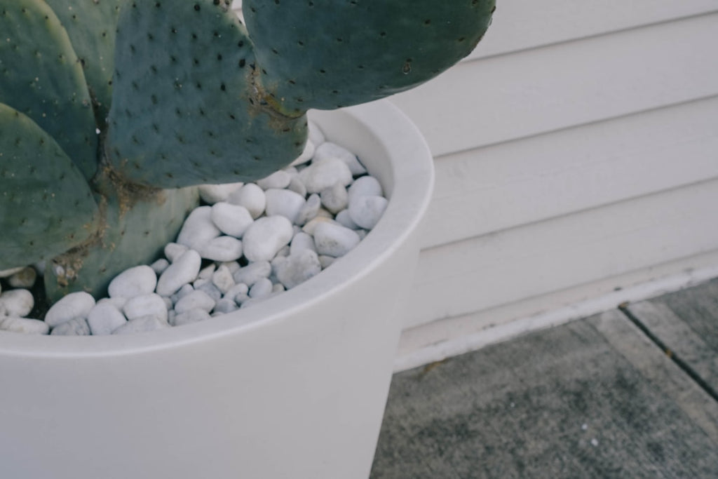 Plant care accessories styled on a shelf with greenery