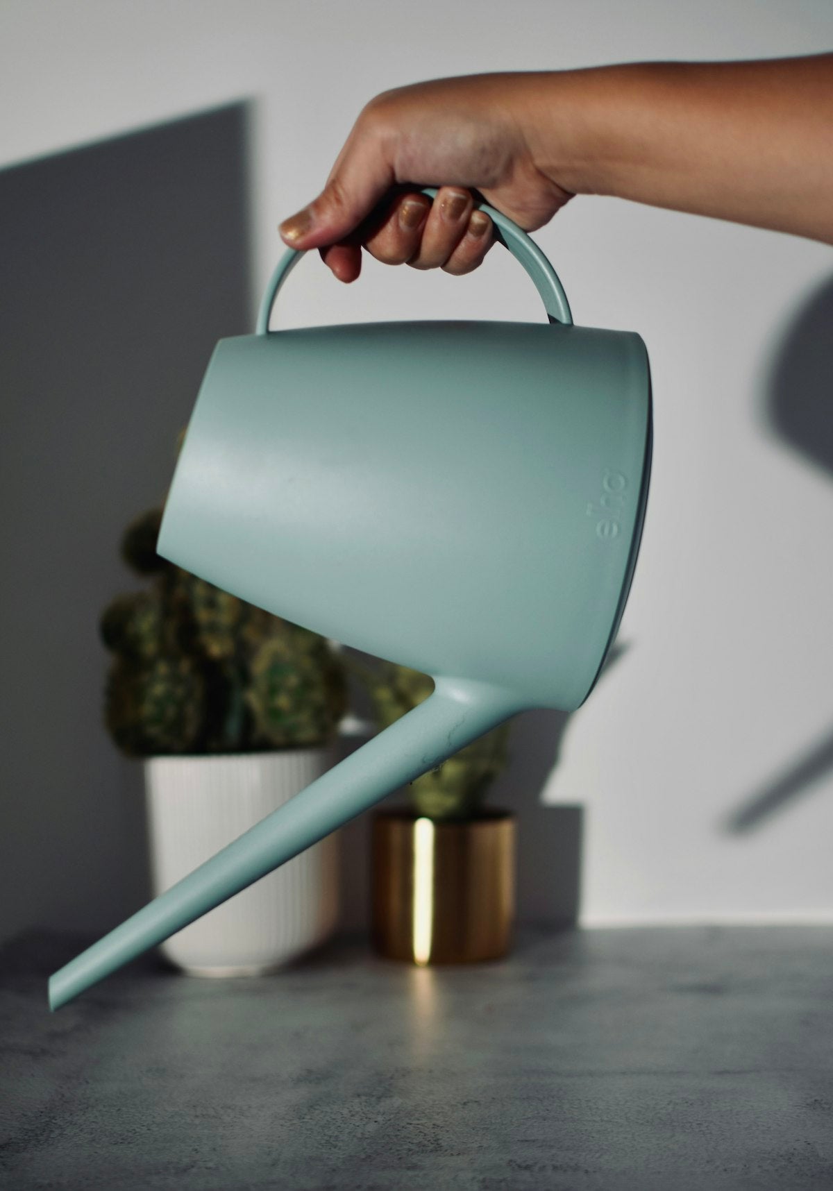 Matte black watering can with long spout on modern shelf