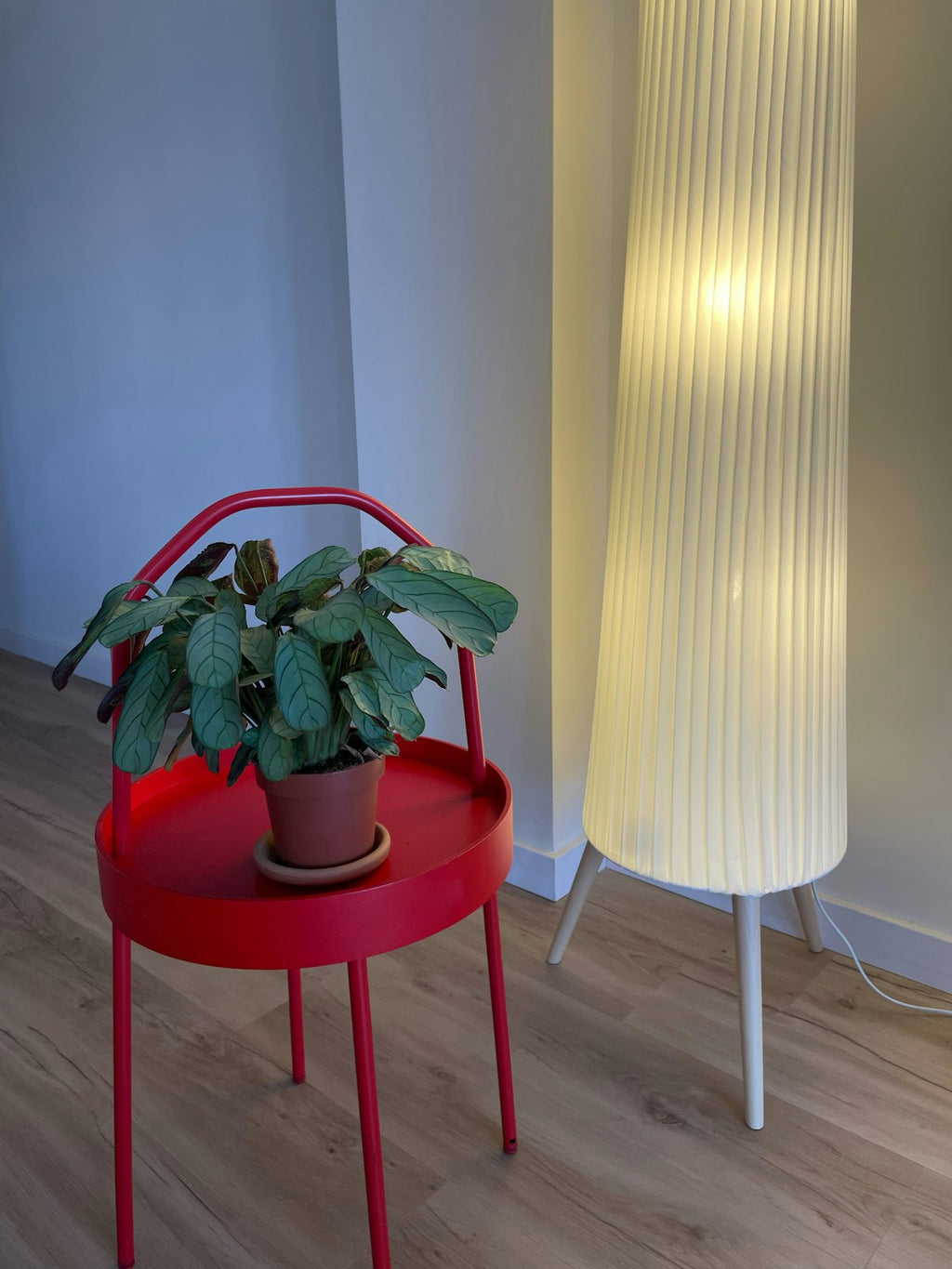 Matte black metal plant stand with green plant in modern interior