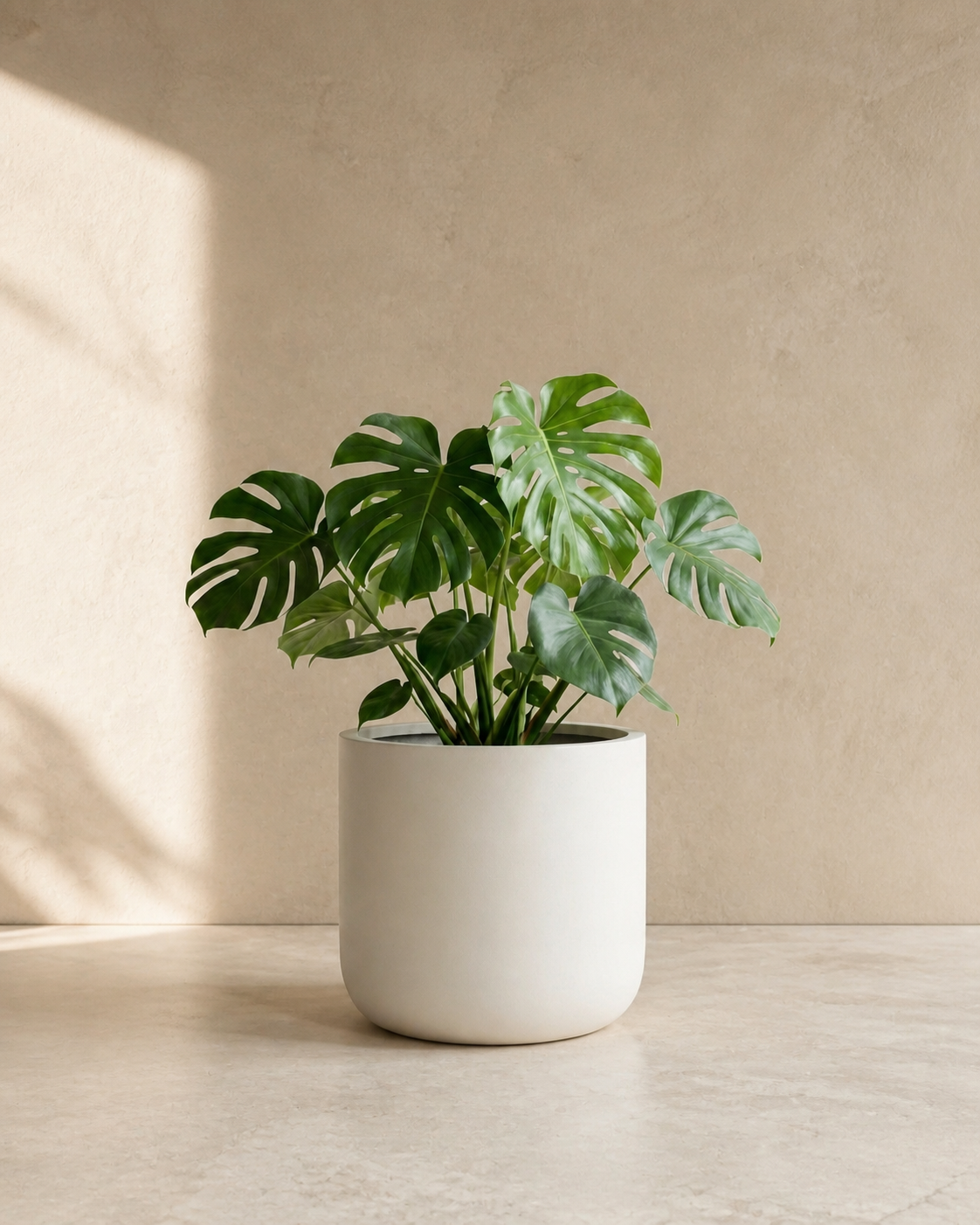 White Ashford round planter with a monstera in a warm limestone interior.