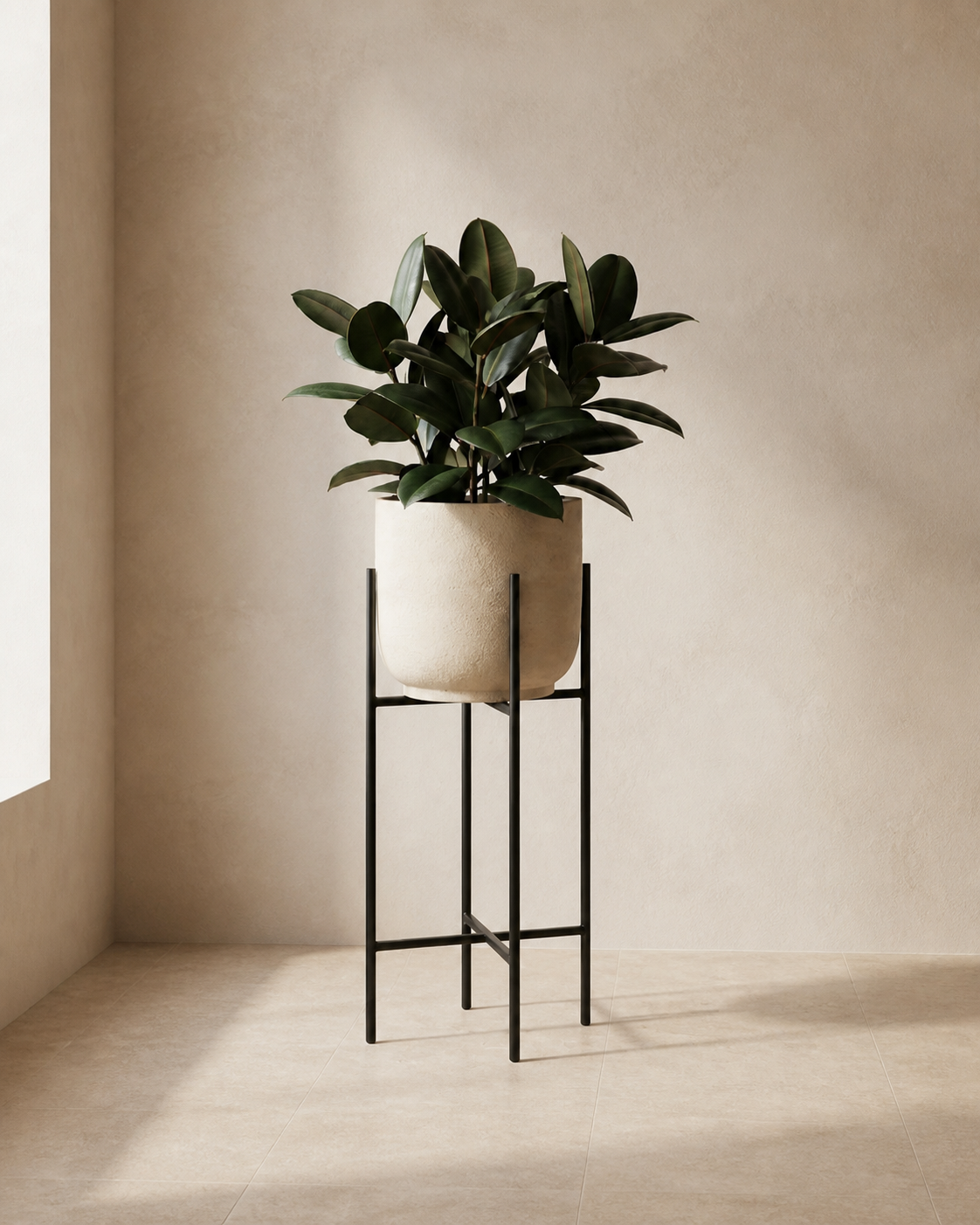 Beckett black steel plant stand with a warm white planter and rubber plant.