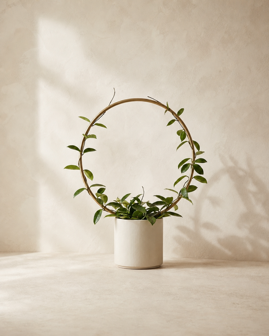 Circular brass trellis hoop with a trained vine in a warm white planter.