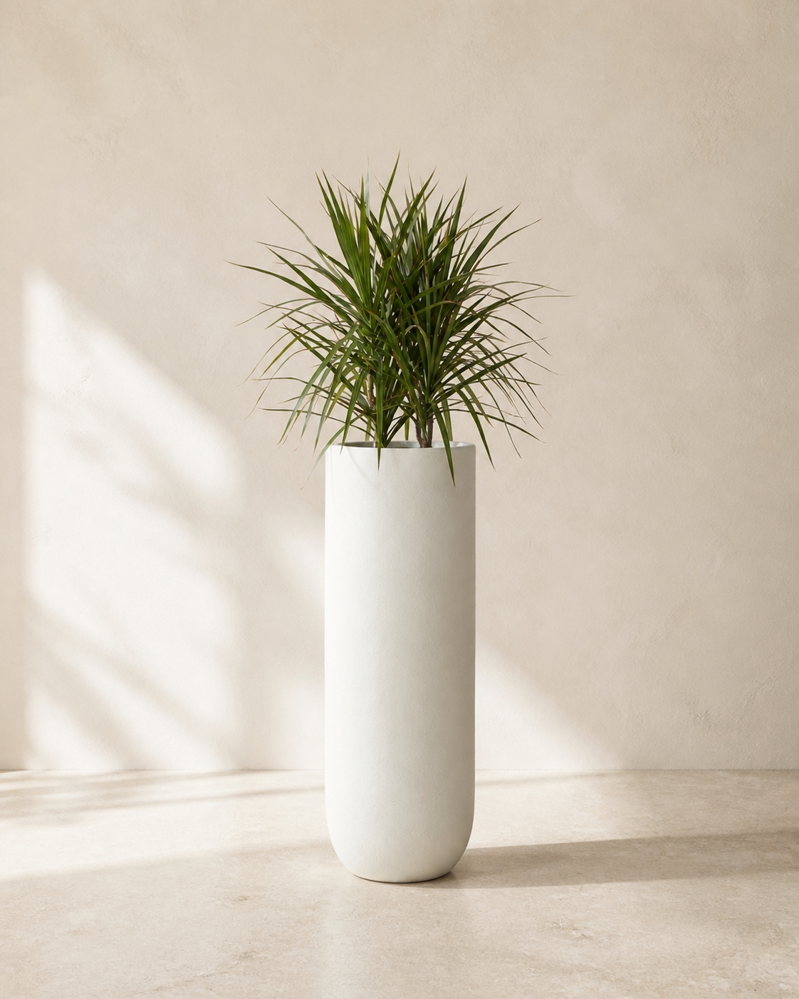 Calder tall warm white column planter with architectural dracaena foliage.