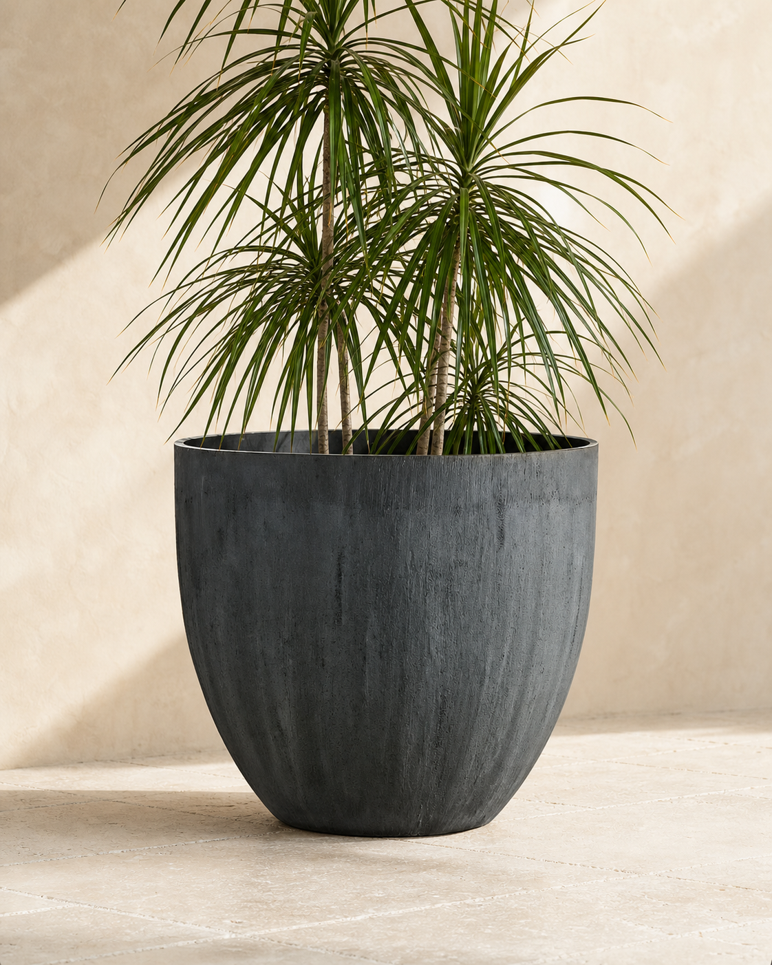 Castino charcoal outdoor planter with tall dracaena foliage.